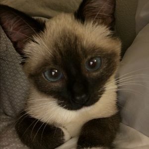 Meet your Posher, Danielle